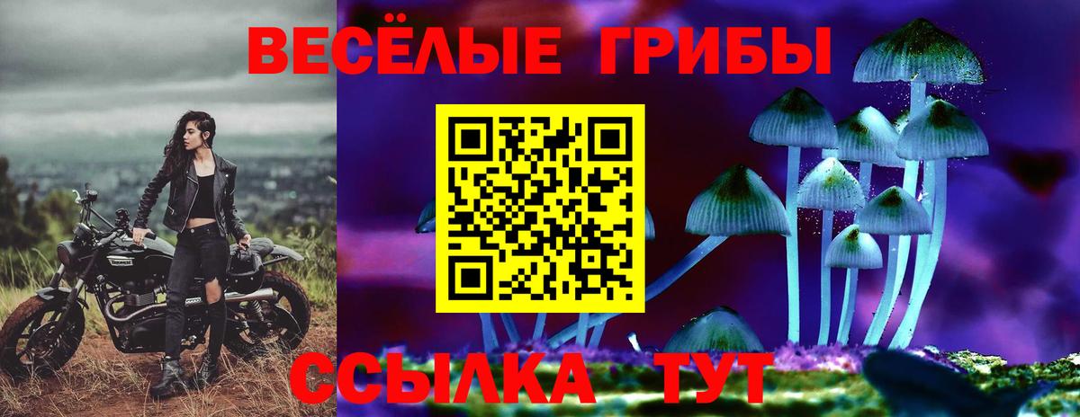 Псилоцибиновые грибы ЛСД Гагарин
