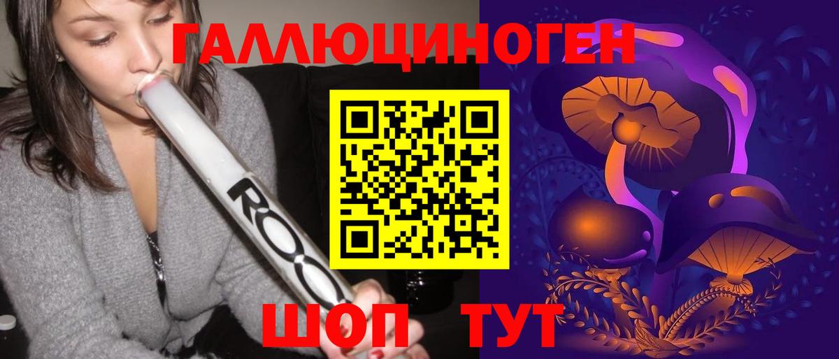 как найти закладки  Вход с VPN  Гагарин  Псилоцибиновые грибы Cubensis  Псилоцибиновые грибы Psilocybine cubensis 